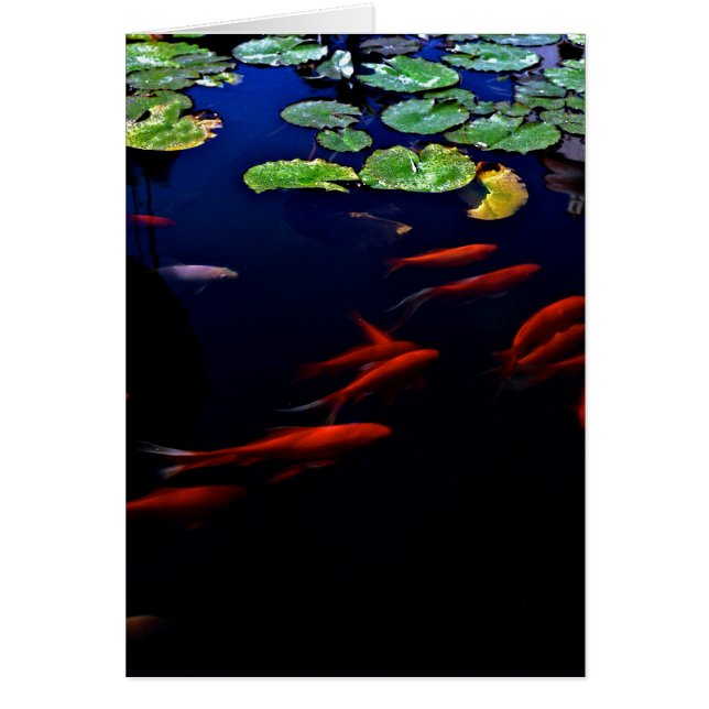 Cartão Relaxe (Frente)