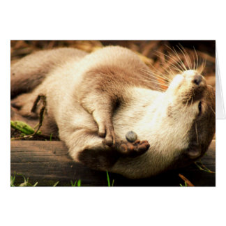 Cartão Relaxe e aprecie!