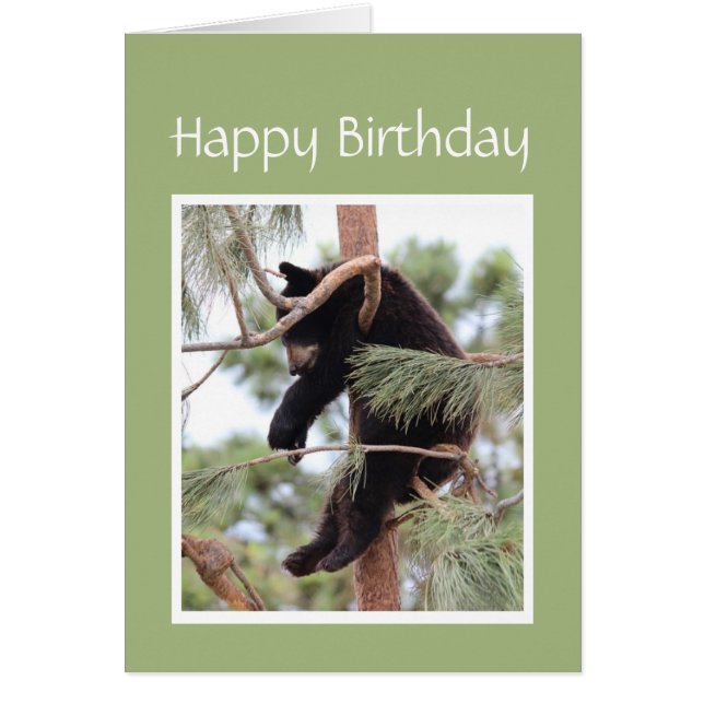 Cartão Relaxe, é o seu Urso de Aniversário para qualquer  (Frente)