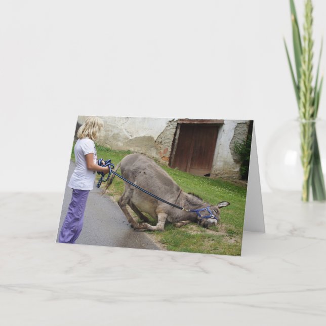 Cartão Relaxed Donkey (Frente)