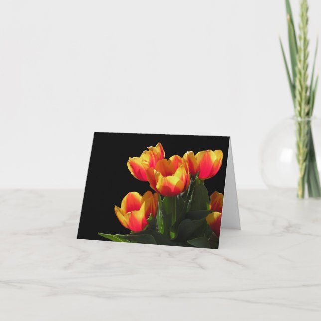 Cartão Rembrandt Tulip Note Card (Frente)