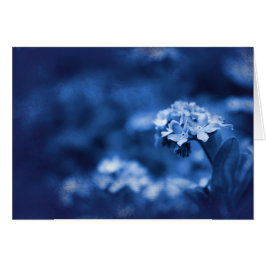 Cartão Reminiscence