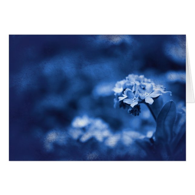 Cartão Reminiscence (Frente Horizontal)