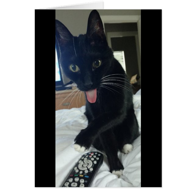 Cartão remoto para o galinheiro (Frente)