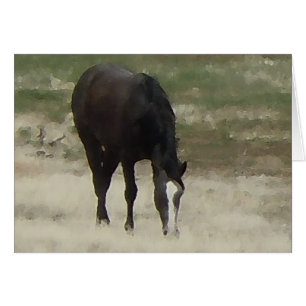 Cartão Remuda Herd Grazes - Cavalos de Vaca Ranhura - Vaz