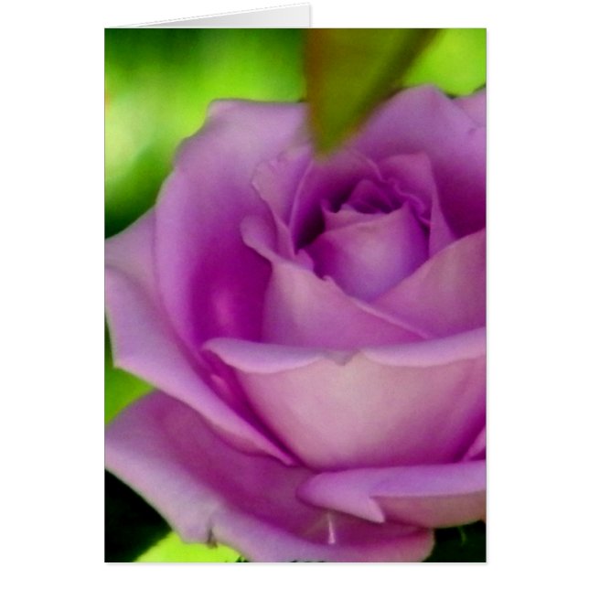 Cartão Renderização_ (Frente)