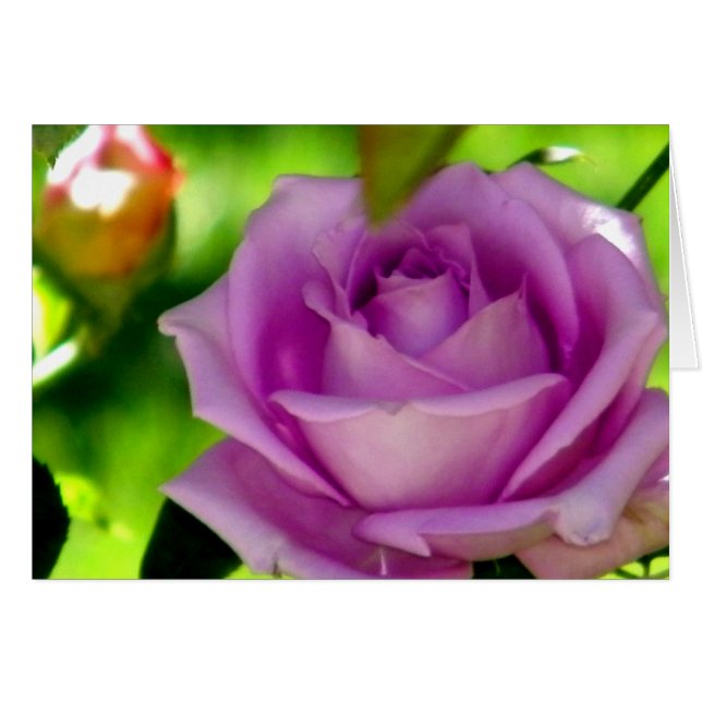 Cartão Renderização_ (Frente Horizontal)