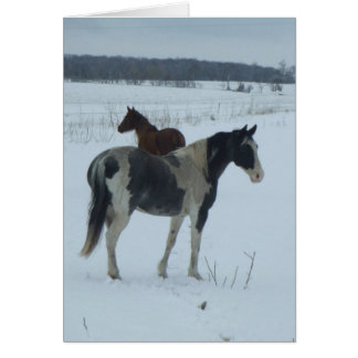 Cartão Rendimento Para Primavera