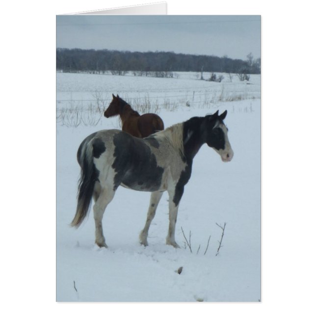 Cartão Rendimento Para Primavera (Frente)