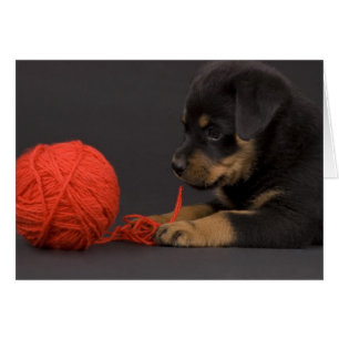 Cartão Reproduzindo Puppy 6