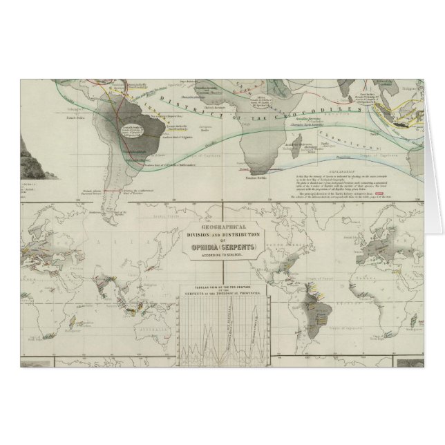 Cartão Reptilia, Ophidia (Frente Horizontal)