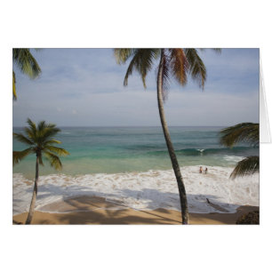 Cartão República Dominicana, Costa Norte, Abreu, Praia 4