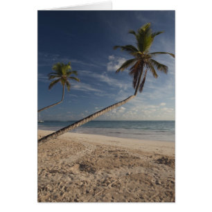 Cartão República Dominicana, Região de Punta Cana, Bavaro