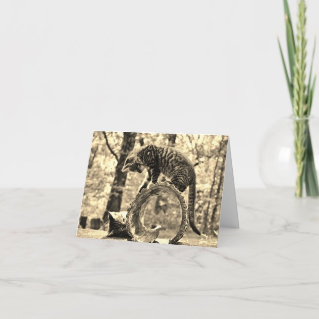 Cartão Rescue Kittens Playing on a Log Notecard Greeting (Frente)