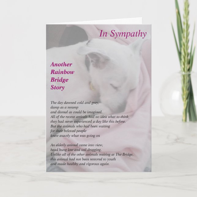 Cartão Rescuer's Sympathy Card (Frente)