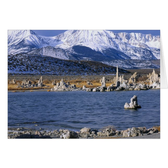 CARTÃO RESERVA NATURAL DO ESTADO MONO LAKE TUFA, (Frente Horizontal)