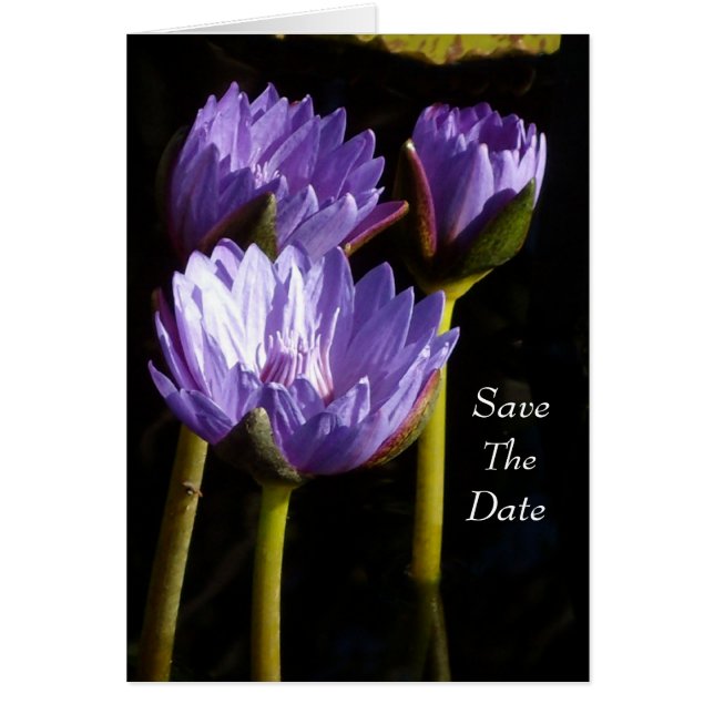 Cartão Reserve a Data (Frente)