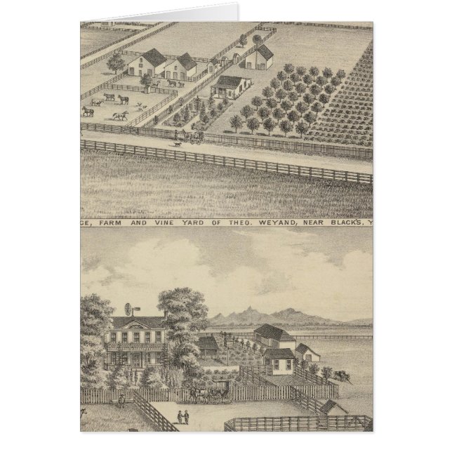 Cartão Residências, Estação Negra (Frente)