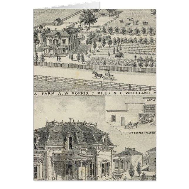 Cartão Residências florestais, fazendas (Frente)