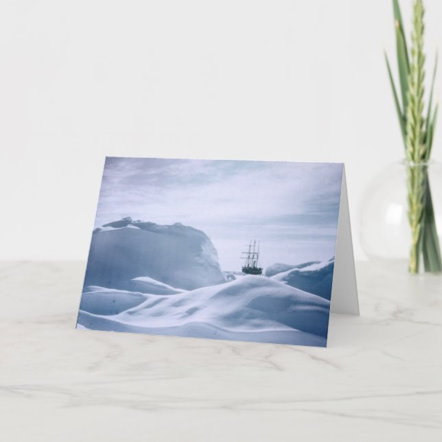 Cartão Resistência do Shackleton (Frente)