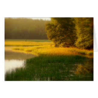 Cartão Respire a placa