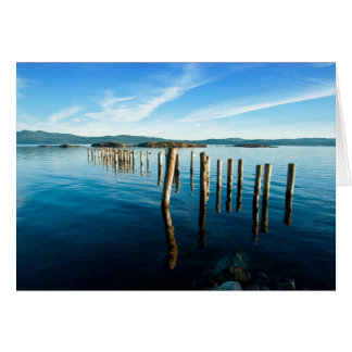 Cartão Restantes Miriformes