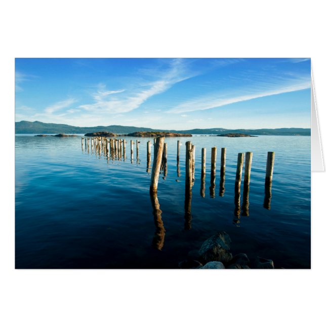 Cartão Restantes Miriformes (Frente Horizontal)