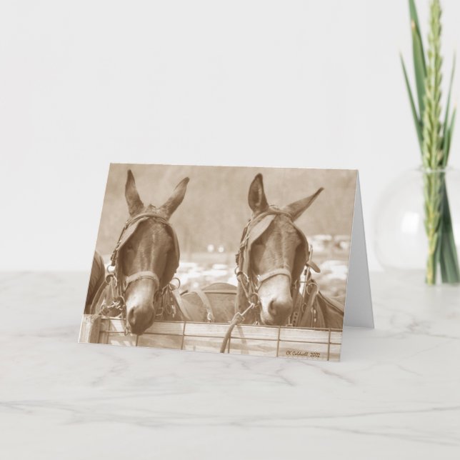 Cartão Restaurar fácil (Frente)