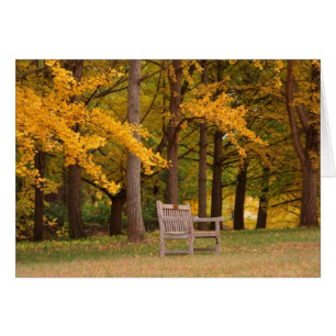 Cartão Resto para por algum tempo