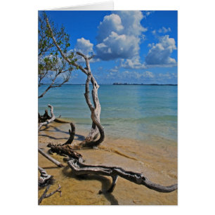 Cartão Restos para cegar a passagem