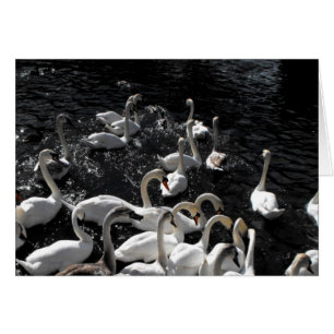 Cartão Retire a placa