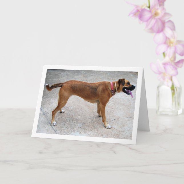 Cartão Retrato de Cachorro (Orquídea)