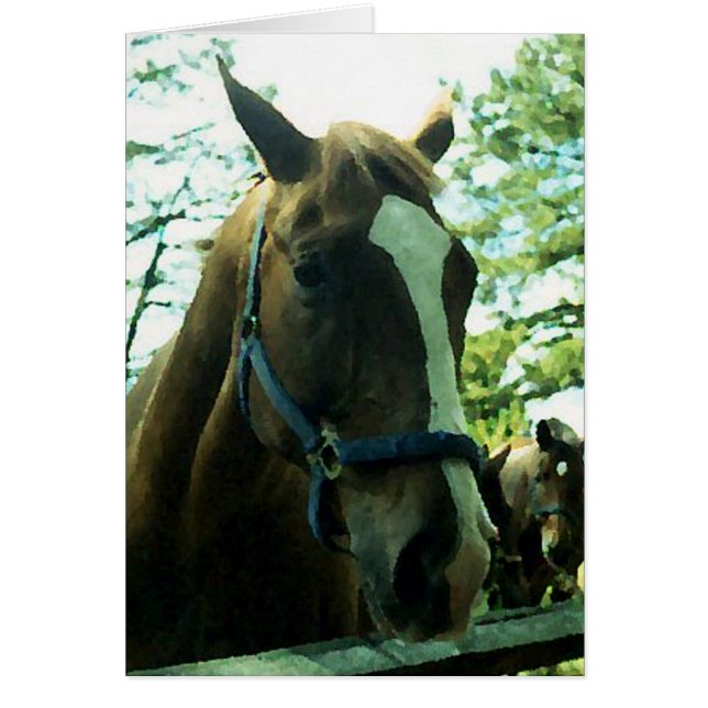 Cartão Retrato de Cavalo (Frente)