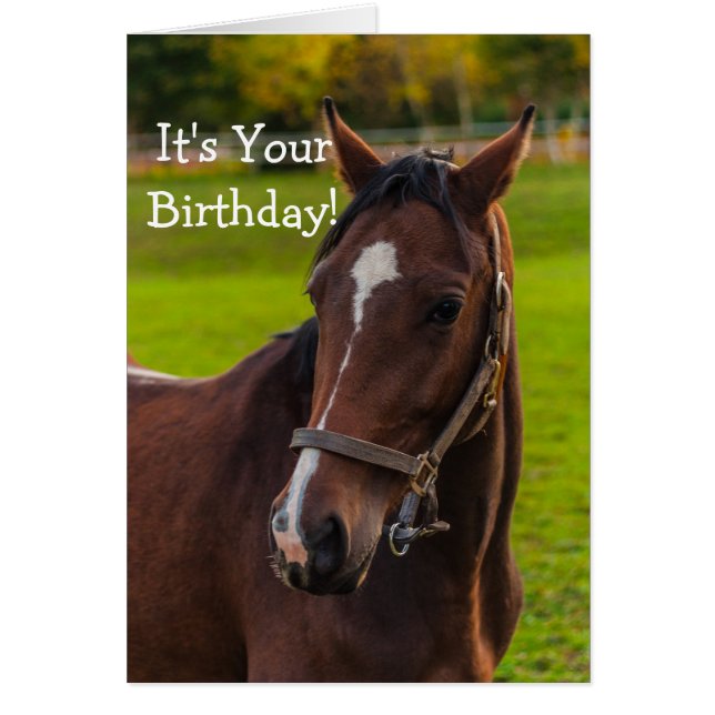 Cartão Retrato de Cavalo Castanho (Frente)