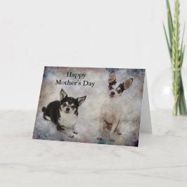 Cartão Retrato de dois chihuahua