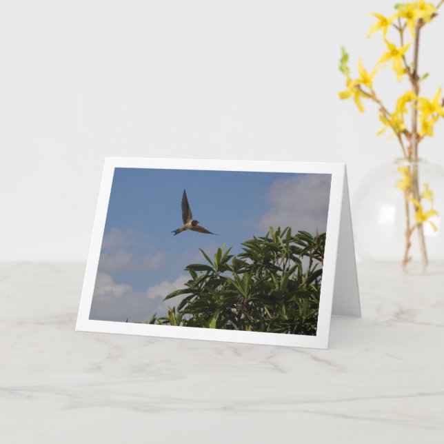 Cartão Retrato de Engolir Barn (Flor Amarela)