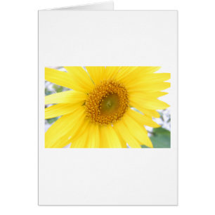 Cartão Retrato de girassol
