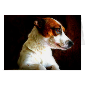 Cartão Retrato de Jack Russell