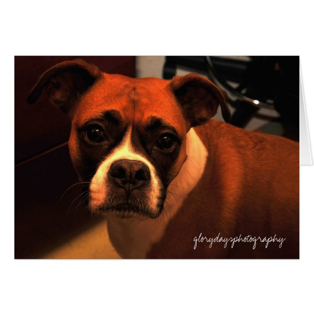 Cartão Retrato de Lucie Monroe (Frente Horizontal)