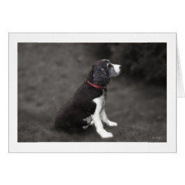 Cartão Retrato de Mabel n.o 1