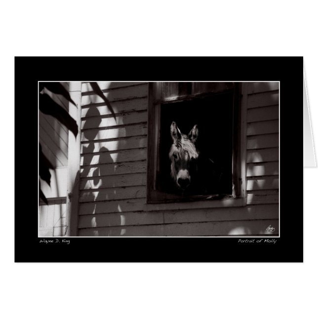 Cartão Retrato de Molly (Frente Horizontal)