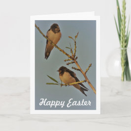 Cartão Retrato de Pássaros Andorinha Estilo Vintage