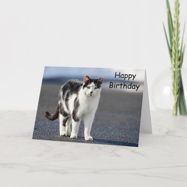 Cartão Retrato de um gato (Frente)