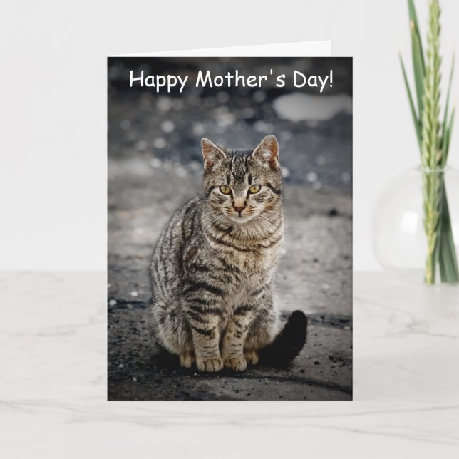 Cartão Retrato de um gato (Frente)