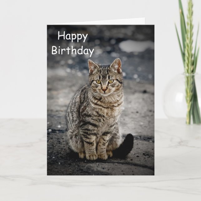 Cartão Retrato de um gato (Frente)