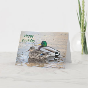 Cartão Retrato de um pato-real macho e fêmea