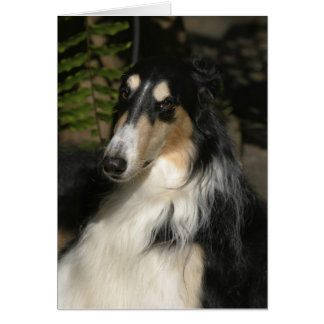 Cartão Retrato de Zulu