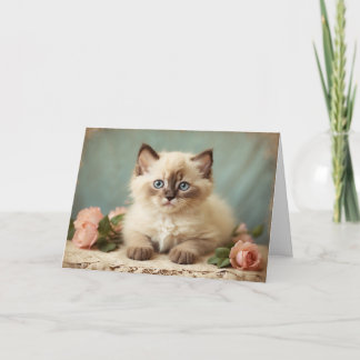 Cartão Retrato Fofo de Gatinho Ragdoll Vintage Flores Doc