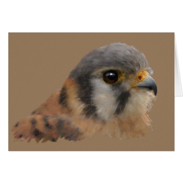 Cartão Retrato Kestrel Americano (Frente Horizontal)