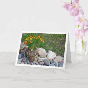 Cartão Retrato Laranja Africano Daisies